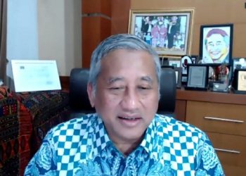 Prof Dr Ir Muhammad Nuh DEA.