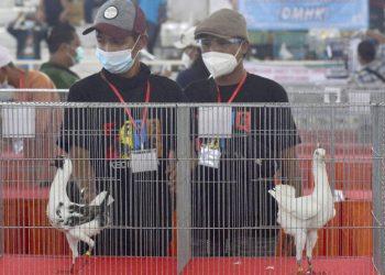 Kontes Merpati Hias dan Merpati Endemik Tingkat Nasional Tahun 2021 yang diselenggarakan di Gelanggang Remaja.