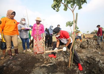 Wakil Wali Kota Surabaya Armuji menanam pohon kemiri sunan di green belt Tempat Pembuangan Akhir (TPA) sampah Benowo Surabaya, Sabtu (11/6) lalu.