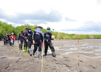 Gubernur Jayim Khofifah Indar Parawansa bersama Wakil Gubernur Emil Elestianto Dardak, serta bupati/wali kota se-Jatim melakukan penanaman mangrove di Kawasan Ekosistem Esensial (KEE) Teluk Pangpang, Kecamatan Muncar, Kabupaten Banyuwangi.