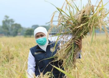 Gubernur Jawa Timur Khofifah Indar Parawansa