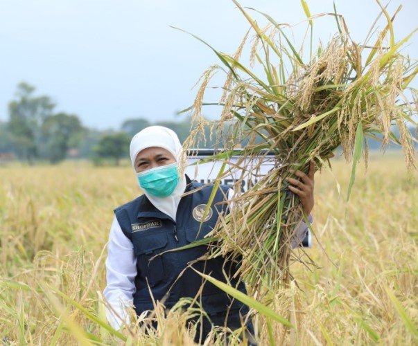 Gubernur Jawa Timur Khofifah Indar Parawansa