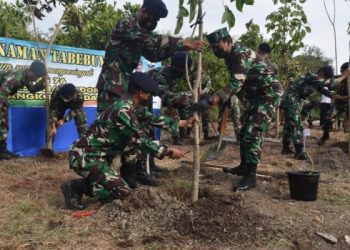 Para prajurit menanam tabebuya di sekitar lapangan Ambalat, Koarmada II.