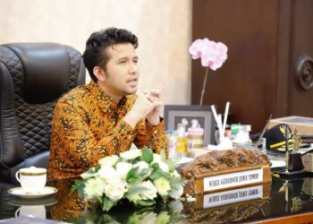 Wakil Gubernur Jatim Emil Elestianto Dardak.