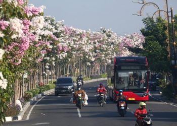 Berbagat terobosan dilakukan Pemkot Surabaya di bidang lingkungan hidup. Baru-baru ini Kota Surabaya mendapat penghargaan ASEAN Environtmentally Sustainable City (ESC) kategori udara terbersih kota besar.