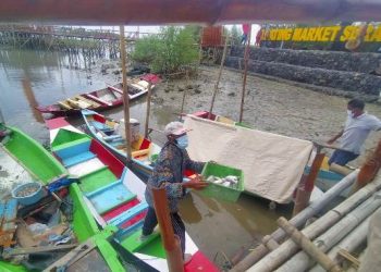 Foto ilustrasi nelayan sedang menurunkan ikan dari hasil melaut.