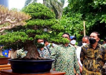 Wali Kota Surabaya Eri Cahyadi hadir dalam Pameran dan Kontes Bonsai Nasional Surabaya, yang berlangsung di East Parking Area Ciputra World (Ciwo).