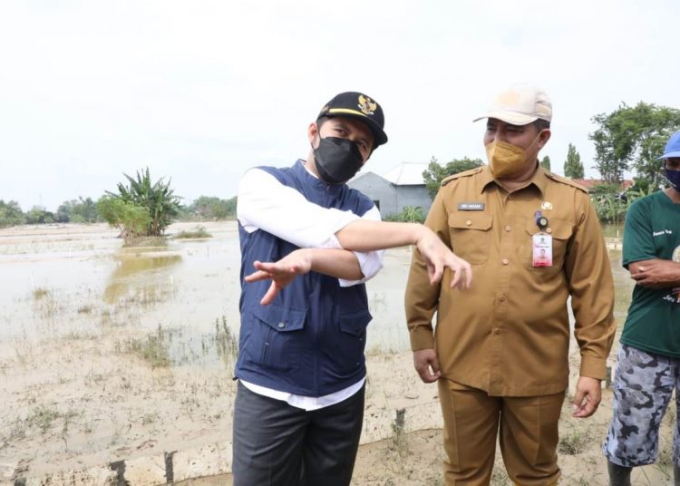 Wakil Gubernur Jatim Emil Elestianto Dardak saat meninjau dampak banjir di Gresik.