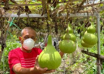 Wakil Wali Kota Surabaya Armuji.