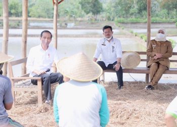 Presiden RI Joko Widodo berbincang dengan petani di Desa Buluagung, Dusun Kedungsangkal, Kecamatan Karangan, Trenggalek.