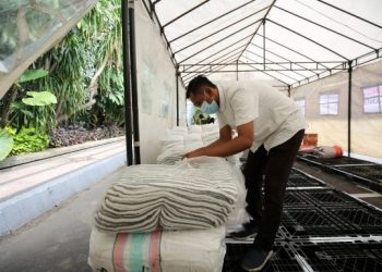 Pemkot Surabaya bersama Bangga Surabaya Peduli membuka posko peduli bencana alam erupsi Gunung Semeru di Balai Kota Surabaya.