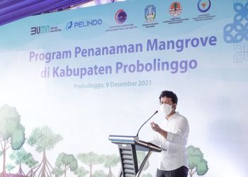 Wakil Gubernur Jawa Timur Emil Elestianto Dardak menghadiri Program Penanaman Mangrove di Pantai Duta, Kabupaten Probolinggo.