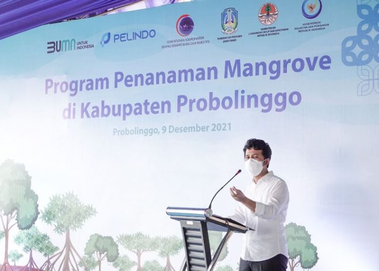 Wakil Gubernur Jawa Timur Emil Elestianto Dardak menghadiri Program Penanaman Mangrove di Pantai Duta, Kabupaten Probolinggo.