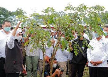 Gubernur Jawa Timur Khofifah Indar Parawansa saat melakukan penanaman bibit tanaman dalam acara Pengkayaan Vegetasi di Njulung Argo Edu Tourism, Desa Bambang Kecamatan Wajak Kabupaten Malang.