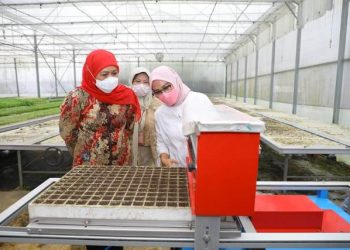 Pemerintah Provinsi Jawa Timur menandatangani Nota Kesepahaman atau Memorandum of Understanding (MoU) dengan Institut Pertanian Bogor (IPB).