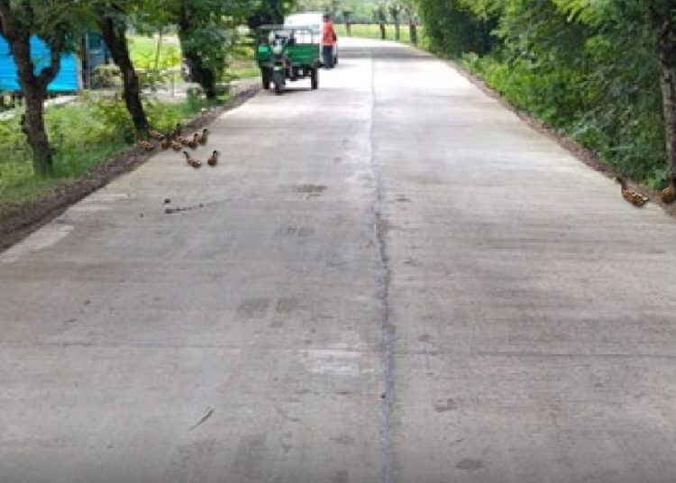 Ruas Jalan Sobontoro-Margomulyo Kecamatan Balen sepanjang 7,1 kilometer yang sudah dikerjakan tahun 2021.