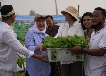 Bupati Bojonegoro Anna Mu'awanah bersama kelompok petani di area pembibitan pematang sawah Desa Drokilo, Kecamatan Kedungadem menyerahkan bantuan bibit tembakau.