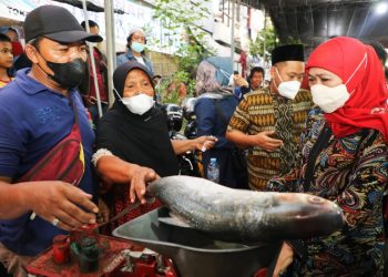 Gubernur Jawa Timur Khofifah Indar Parawansa yang didampingi Bupati Gresik Fandi Akhmad menghadiri Festival Pasar Bandeng Kawak ini di Pasar Baru Gresik.
