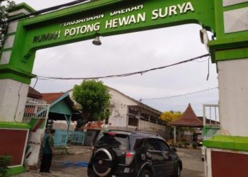 Rumah Potong Hewan (RPH) Surabaya.