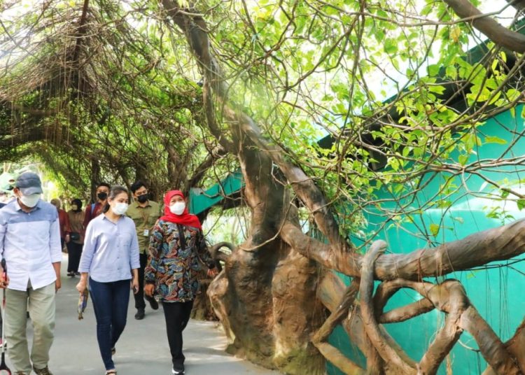 Gubernur Jatim Khofifah Indar Parawansa saat berada di salah satu tempat wisata di Jawa Timur.