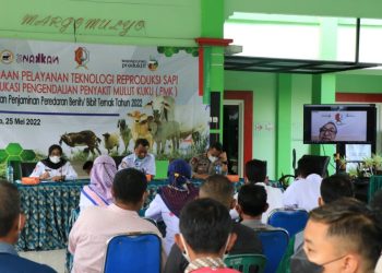 Pembinaan Pelayanan Teknologi Produksi Sapi dan Edukasi Pengendalian Penyakit Mulut dan Kuku (PMK), yang dilaksanakan di Pendopo Kecamatan Margomulyo.
