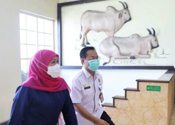 Gubernur Jawa Timur Khofifah Indar Parawansa di sela rapat koordinasi dengan Pusat Veteriner Farma (PUSVETMA) Surabaya dan tim pakar untuk penanganan dan pengendalian PMK.