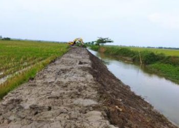 Pelaksanaan normalisasi Kali Ingas oleh Dinas Pekerjaan Umum (DPU) Sumber Daya Air (SDA) Bojonegoro di Desa Kedungprimpen, Kecamatan Kanor.