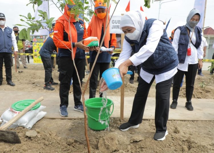 Gubernur Jatim Khofifah Indar Parawansa dalam salah satu kegiatan.penanaman pohon.