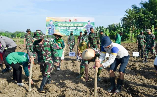 Kodim 0813 Bojonegoro melaksanakan tanam jagung bersama di di Desa Banjarsari, Kecamatan Trucuk.