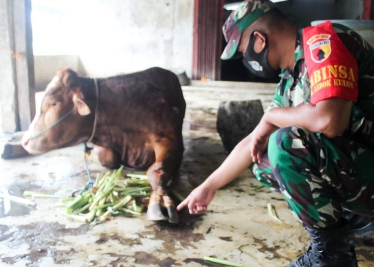 Tiga pilar plus melaksanakan pemeriksaan kesehatan hewan ternak milik warga dan mengecek sejumlah Rumah Pemotongan Hewan (RPH) di Bojonegoro.