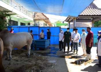 Rumah Potong Hewan (RPH) Surabaya salah satu tempat pemotongan hewan untuk kurban. Di Jatim ada 103 RPH yang resmi.