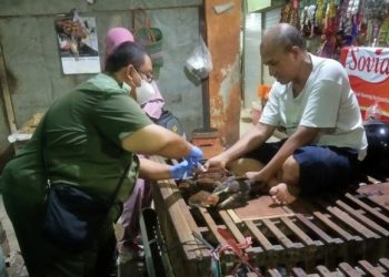 Tim dari Dinas Ketahanan Pangan dan Pertanian Surabaya bekerjasama dengan Balai Besar Veteriner (BBVet) Wates Yogyakarta melakukan pengambilan sampel (swab) pada unggas.