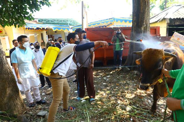 Plt Gubernur Jawa Timur Emil Elestianto Dardak penyemprotan disinfektan di meninjau posko penyerahan hewan kurban milik Pemerintah Provinsi Jawa Timur yang berada di Islamic Center, Surabaya.