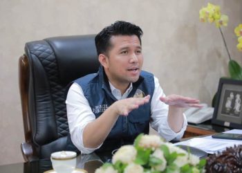 Wakil Gubernur Jawa Timur Emil Elestianto Dardak