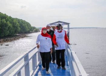 Kawasan mangrove di Penunggul Mangrove Park, Kecamatan Nguling, Kabupaten Pasuruan.