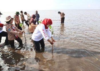 Gubernur Jawa Timur Khofifah Indar Parawansa menanam mangrove dalam Festival Mangrove di Penunggul Mangrove Park, Kecamatan Nguling, Kabupaten Pasuruan.