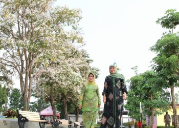 Gubernur Jawa Timur Khofifah Indar Parawansa menyaksikan suasana Bunga Tabebuya yang sedang bermekaran di Alun-Aun Jombang.