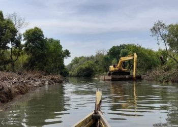 Pengerukan lumpur di sepanjang sungai di kawasan Mangrove Wonorejo.