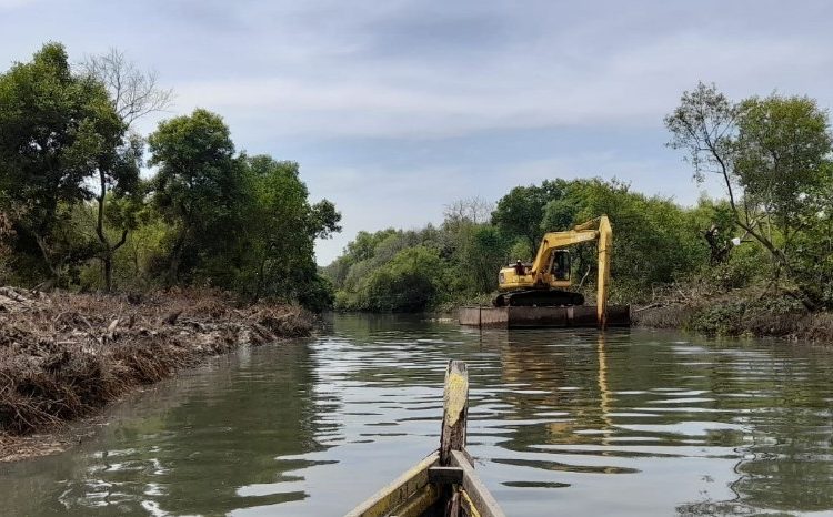 Pengerukan lumpur di sepanjang sungai di kawasan Mangrove Wonorejo.