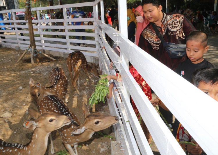 Mini zoo menjadi salah satu wahana wahana yang tersedia di Romokalisari Adventure Land.