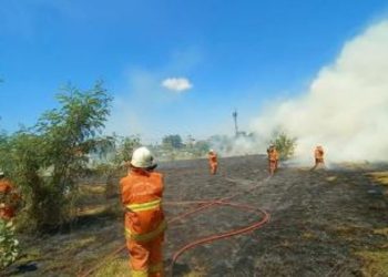 Salah satu kebakaran di lahan terbuka.