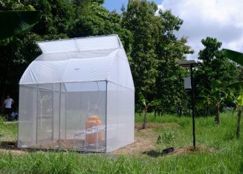 Inovasi greenhouse yang terintegrasi dengan pompa air berbasis fotovoltaic oleh tim Abmas dari Laboratorium Simulasi Sistem Tenaga, Departemen Teknik Elektro ITS.