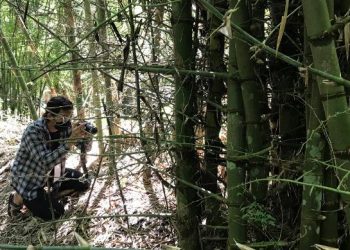 Salah satu tim KKN Abmas ITS sedang mendokumentasikan salah satu jenis bambu untuk diobservasi