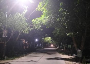 Salah satu Penerangan Jalan Umum (PJU) yang sudah dipasang Dinas Perumahan, Kawasan Pemukiman, dan Cipta Karya (DPKPCK) Pemkab Bojonegoro. Total ada 2.195 PJU yang akan dipasang dan ditarget selesai bulan ini.