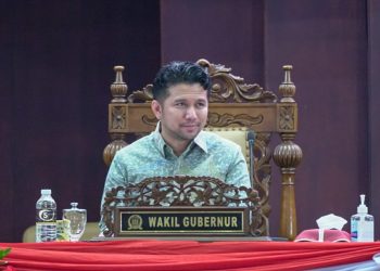 Wakil Gubernur Jatim Emil Elestianto Dardak.