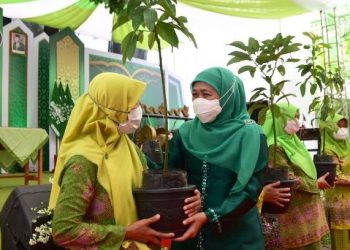 Gubernur Jawa Timur Khofifah Indar Parawansa menyerahkan bibit pohon saat menghadiri pelantikan PC Muslimat NU Kabupaten Blitar di Madrasah Aliyah Ma’arif Udanawu, Kabupaten Blitar.