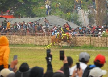 Karapan sapi tradisional memperebutkan Piala Presiden RI yang dilaksanakan di lapangan karapan sapi Stadion Raden Panji Muhammad Noer, Kabupaten Bangkalan.