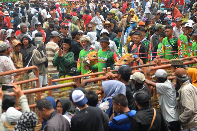Salah satu momen dalam grand final Karapan Sapi tradisional memperebutkan Piala Presiden RI di lapangan karapan sapi Stadion Raden Panji Muhammad Noer, Kabupaten Bangkalan.