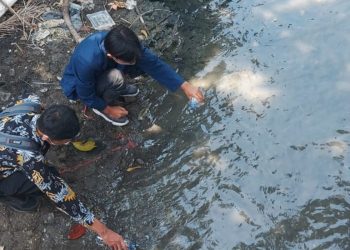 Pengambilan sampel  pada aliran sungai untuk mengetahui seberapa jauh logam kromium (VI) mencemari aliran sungai Kalimas.