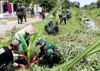 Kegiatan penanaman pohon kelapa genjah di Desa Sukowati, Kecamatan Kapas, Bojonegoro.
